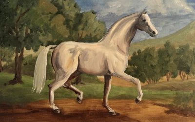 Classical Dressage Horse I