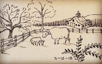 3-12-18 Cow Pasture