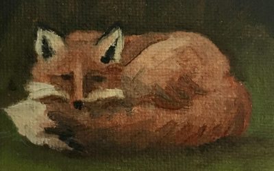Curled Fox 6-4-18