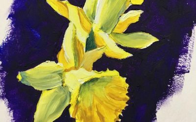 Daffodils 4-11-18