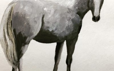 Gray Horse 5-3-18