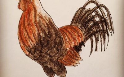 Rooster 3-22-18